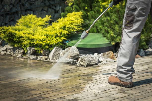 Animal Enclosure Cleaning in Cape Carteret, NC
